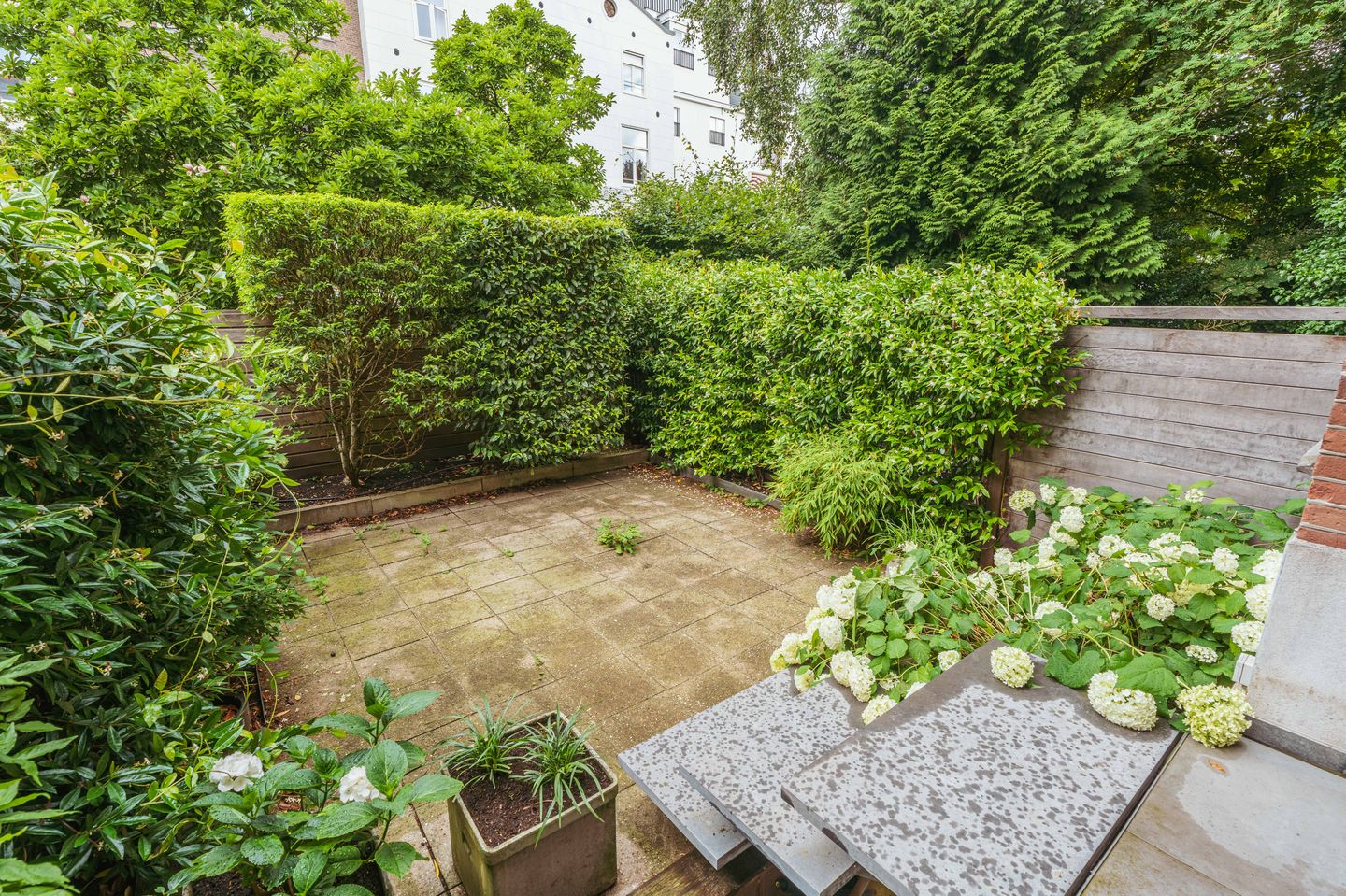 Foto 5 van Van Breestraat 14