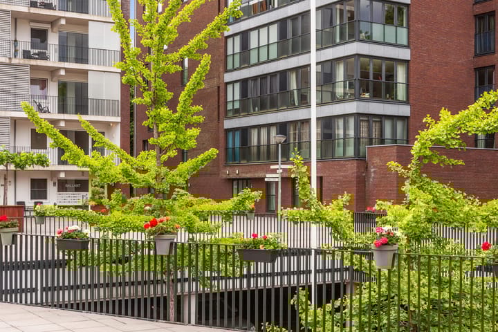 Photo 7 of Draaiom 48