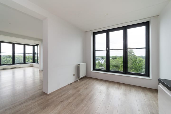 Photo 16 of Draaiom 48