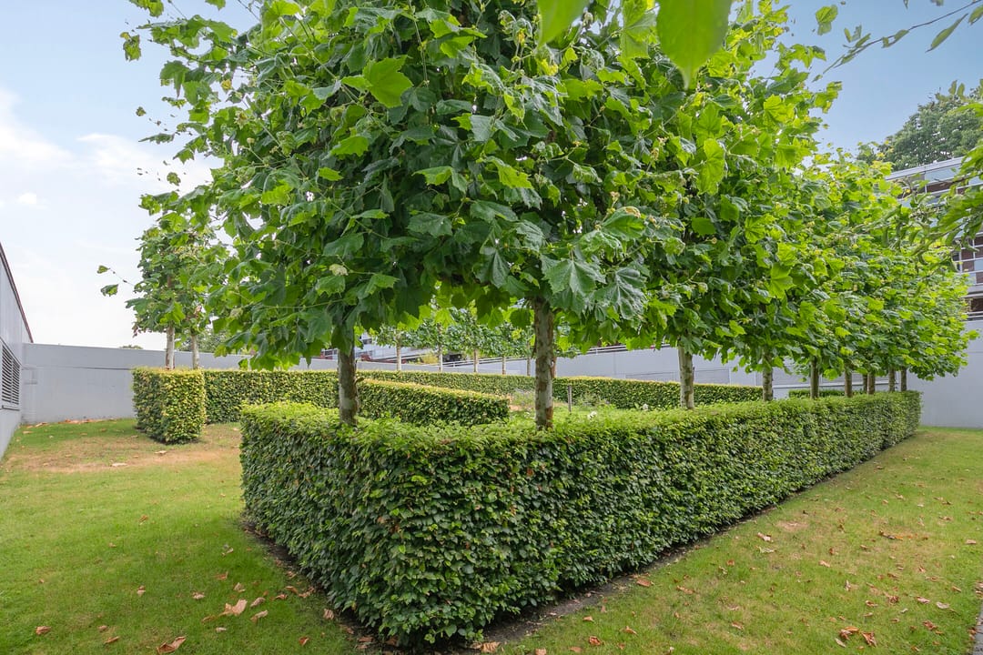 Foto 23 van Cypresstraat 7