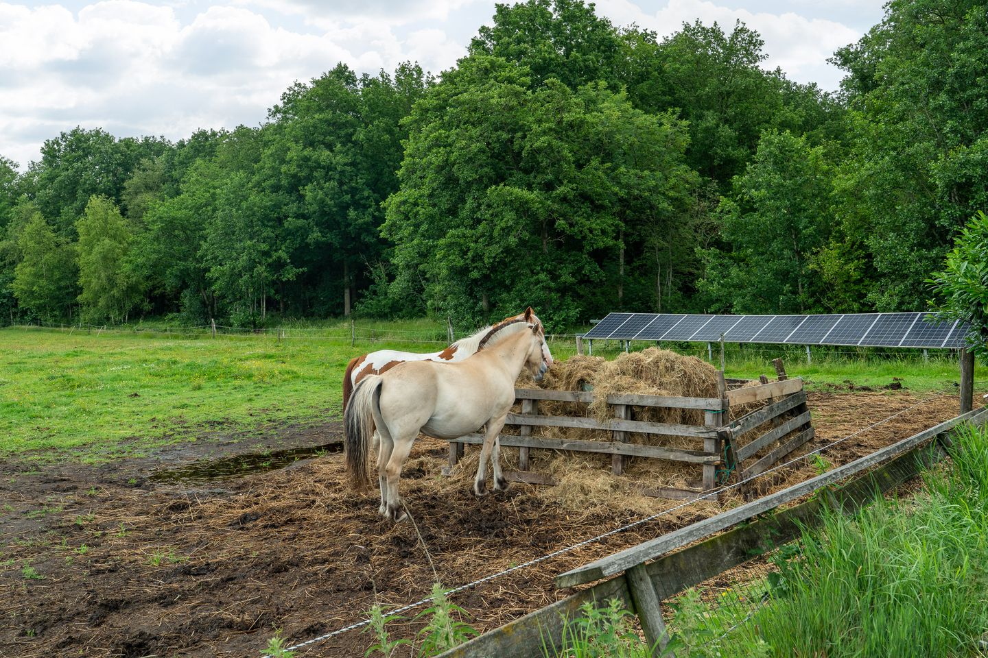 Foto 40 van De Kapelle 19