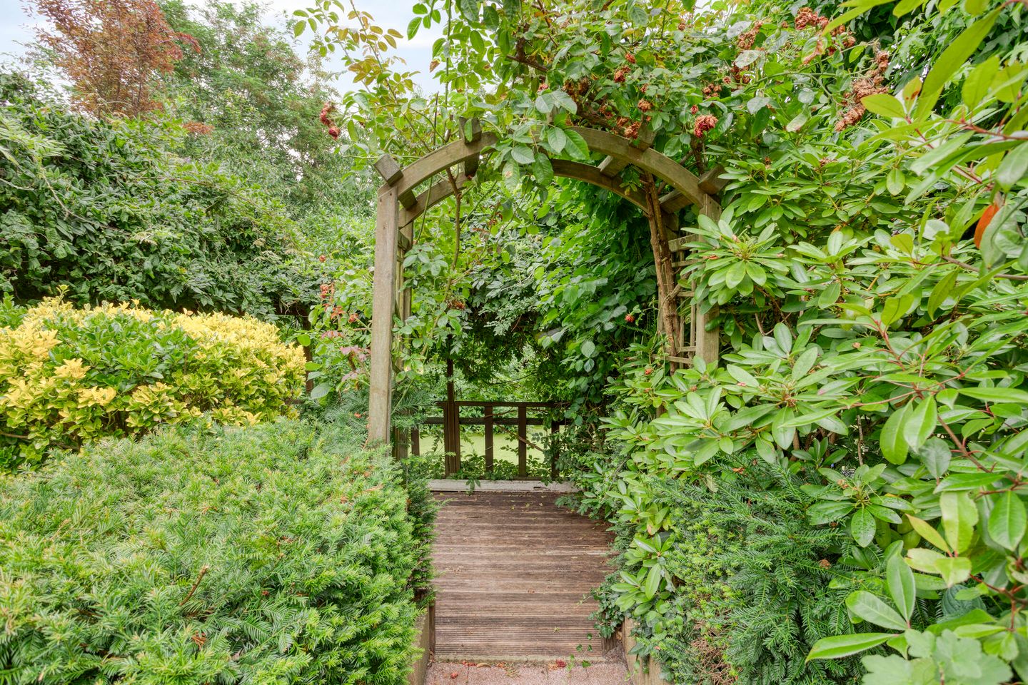 Foto 25 van Prinses Marijkestraat 81