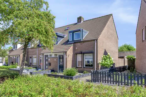 undefined main image