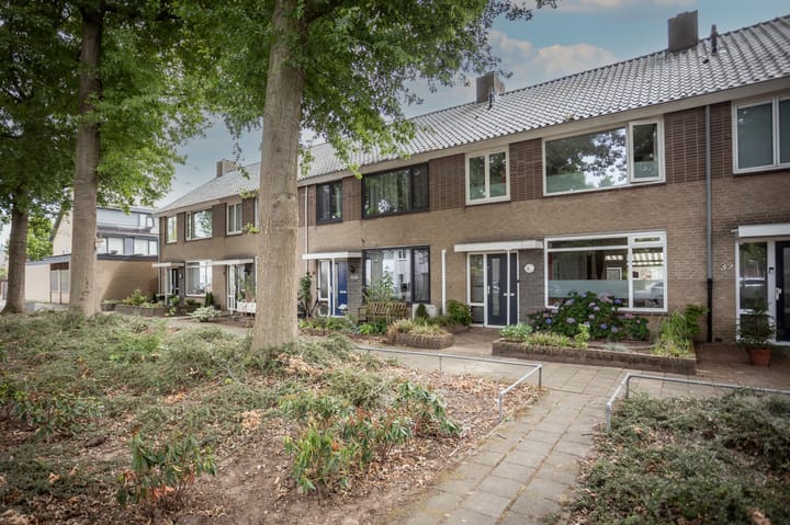 Foto 22 van Titus Brandsmastraat 30