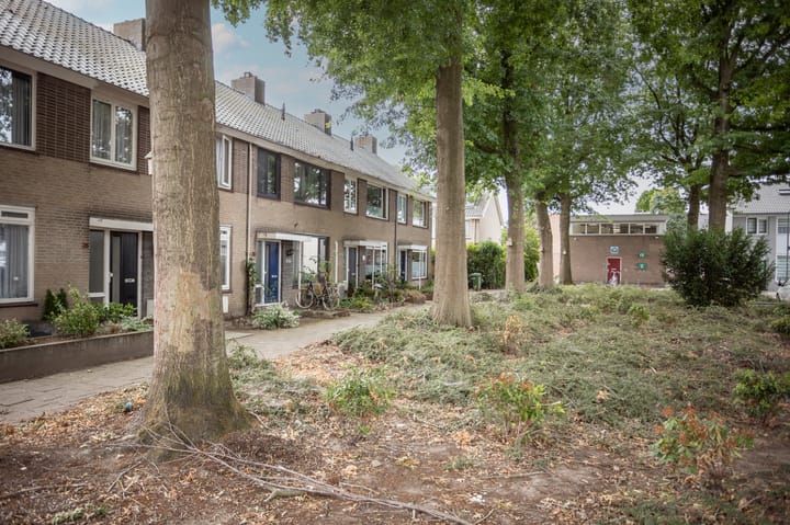 Foto 23 van Titus Brandsmastraat 30