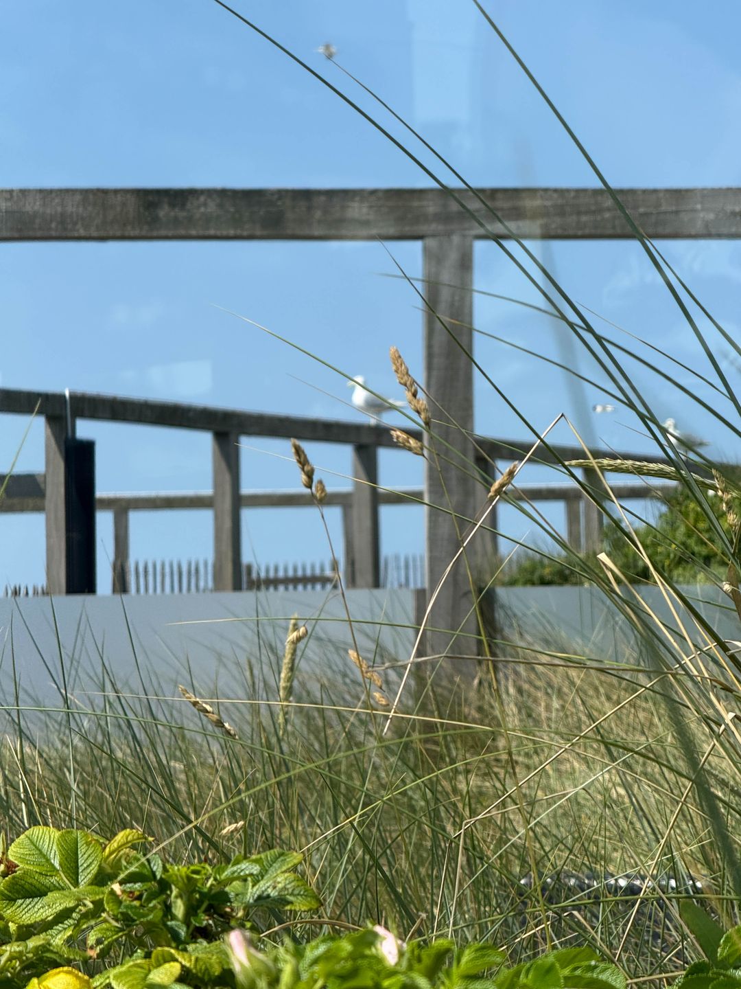 Photo 16 of Van der Wijckplein 16-A