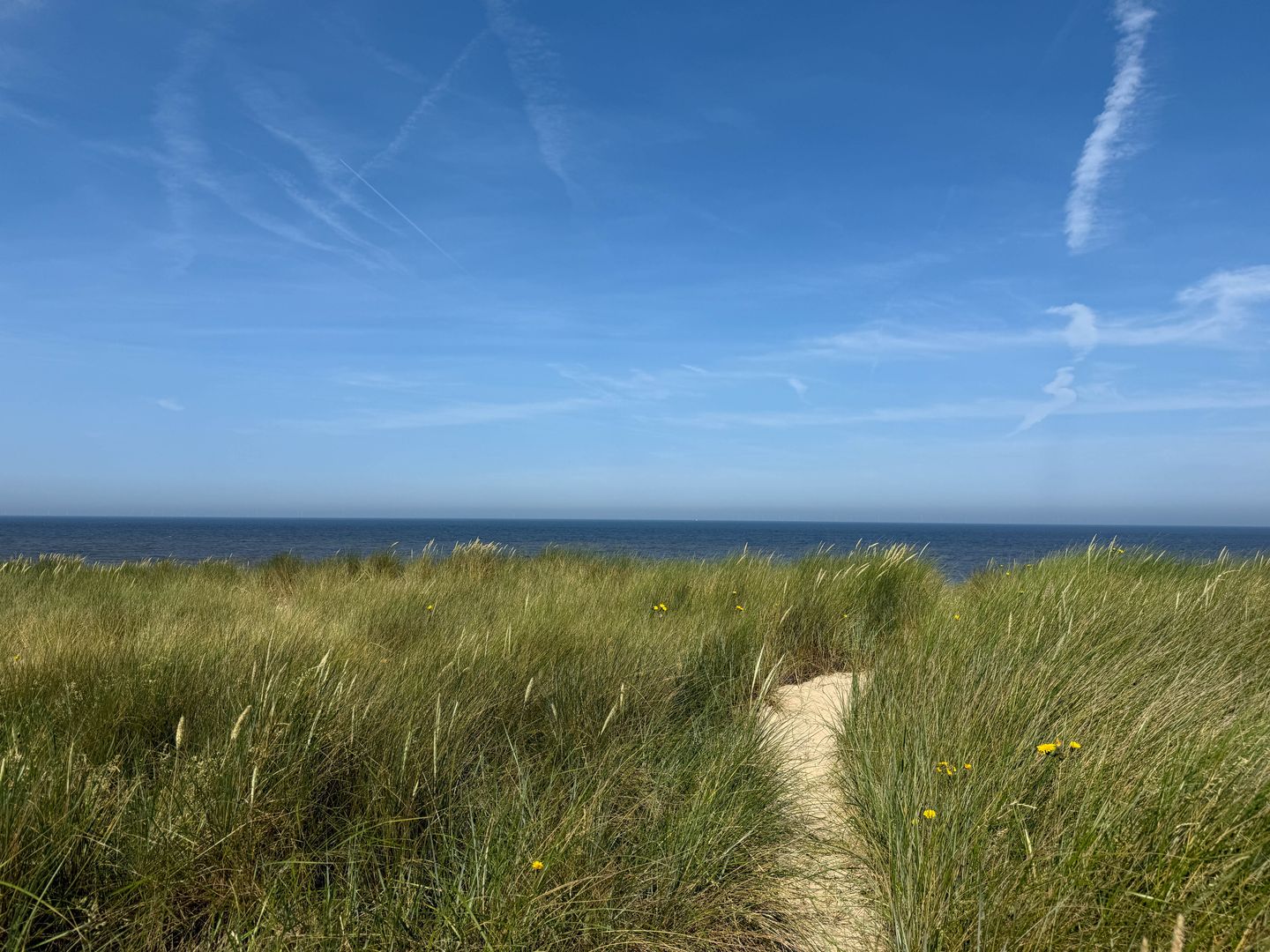 Photo 20 of Van der Wijckplein 16-A