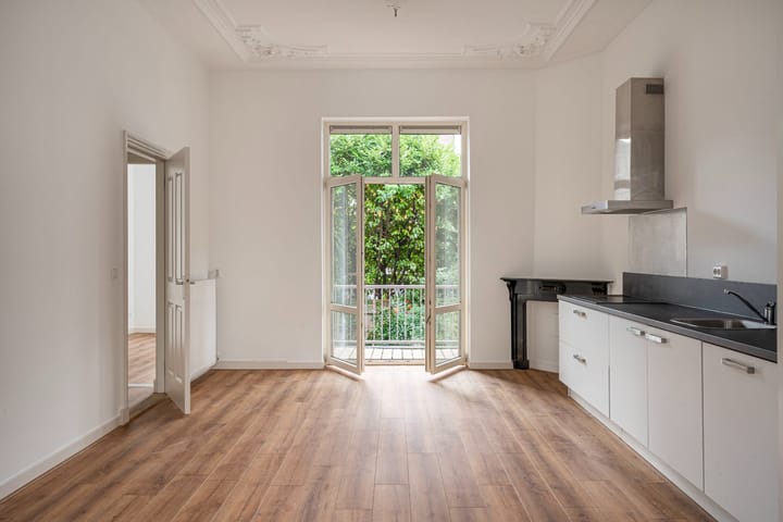 Foto 5 van Pontanusstraat 25