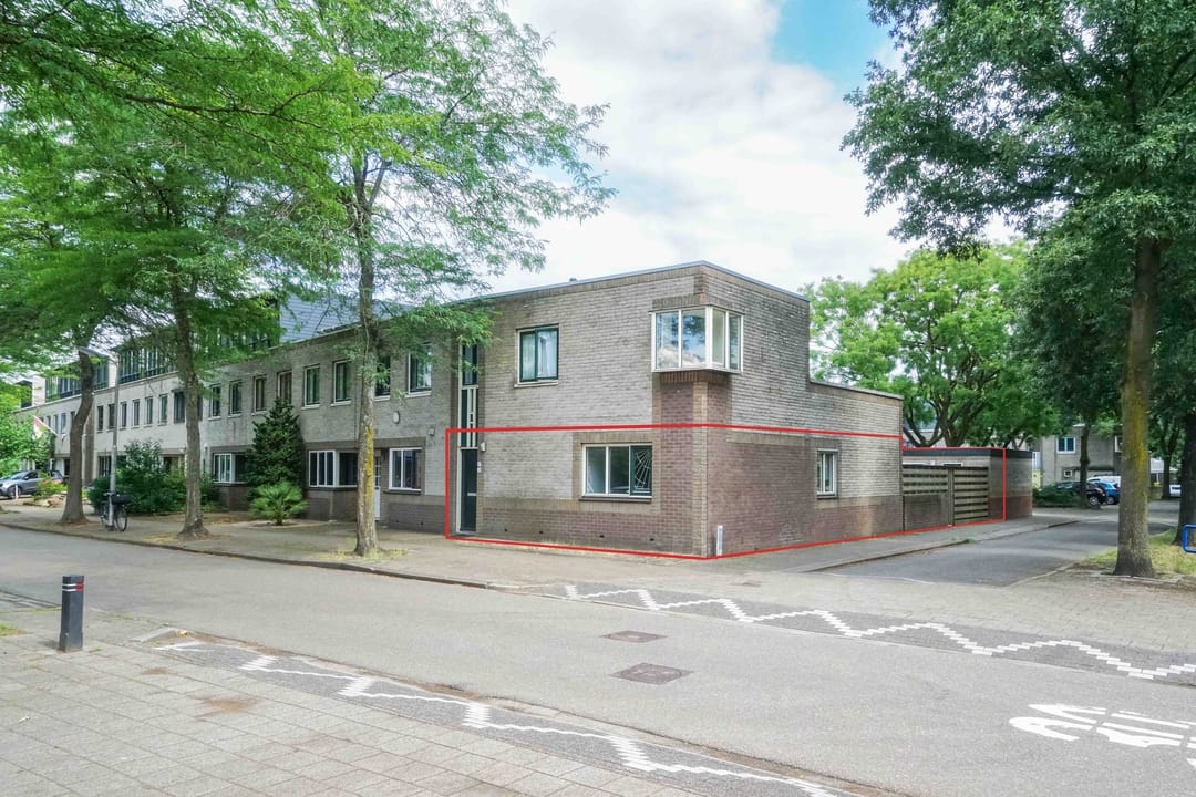 Foto 1 van Atlasvlinder 2