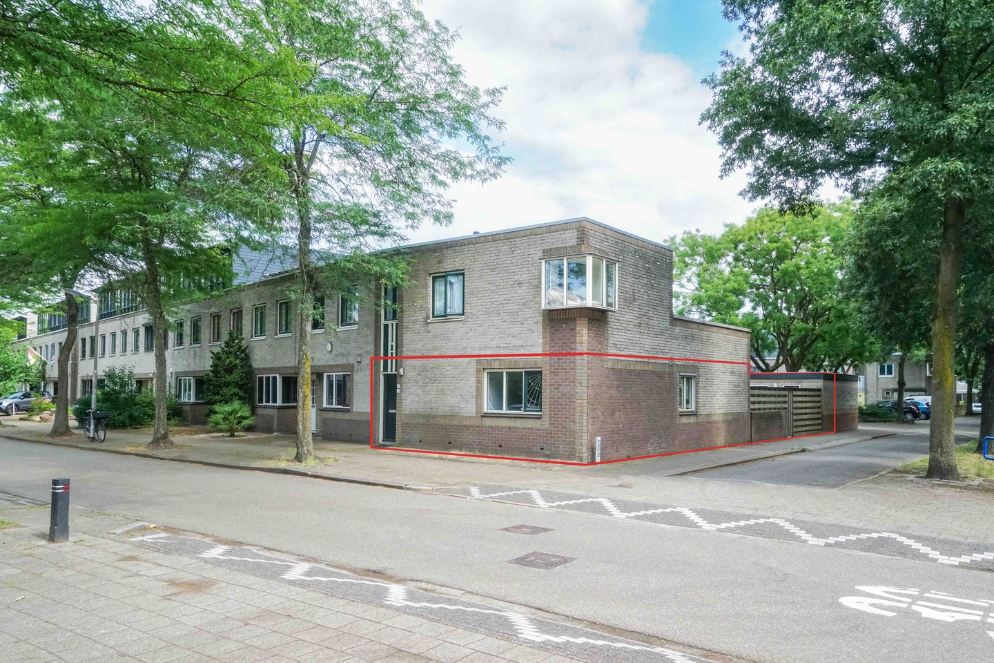 Foto 1 van Atlasvlinder 2