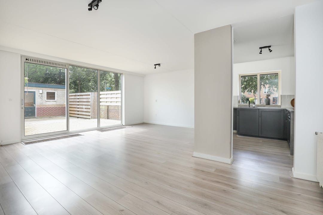 Foto 2 van Atlasvlinder 2