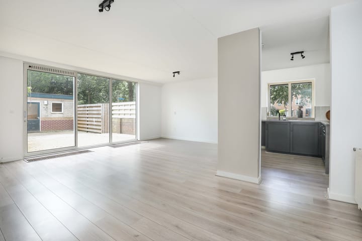 Foto 2 van Atlasvlinder 2