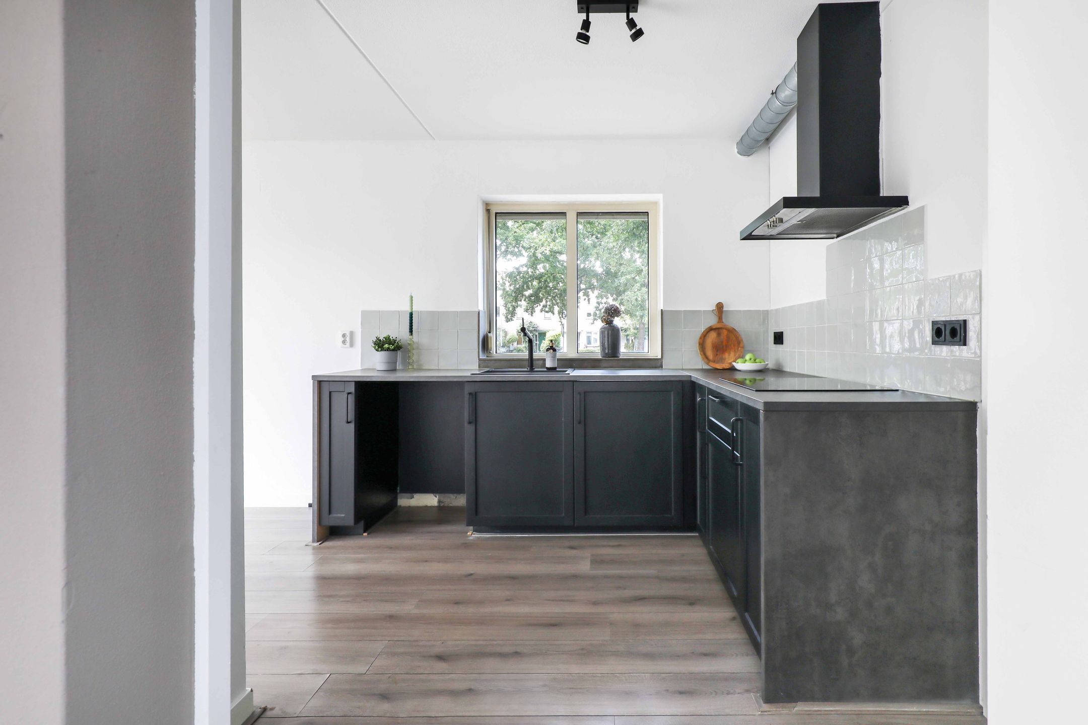 Foto 3 van Atlasvlinder 2