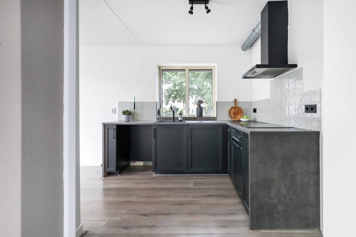 Foto 3 van Atlasvlinder 2