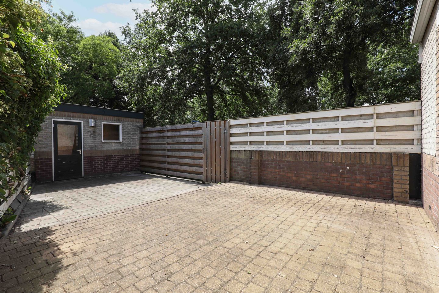 Foto 5 van Atlasvlinder 2