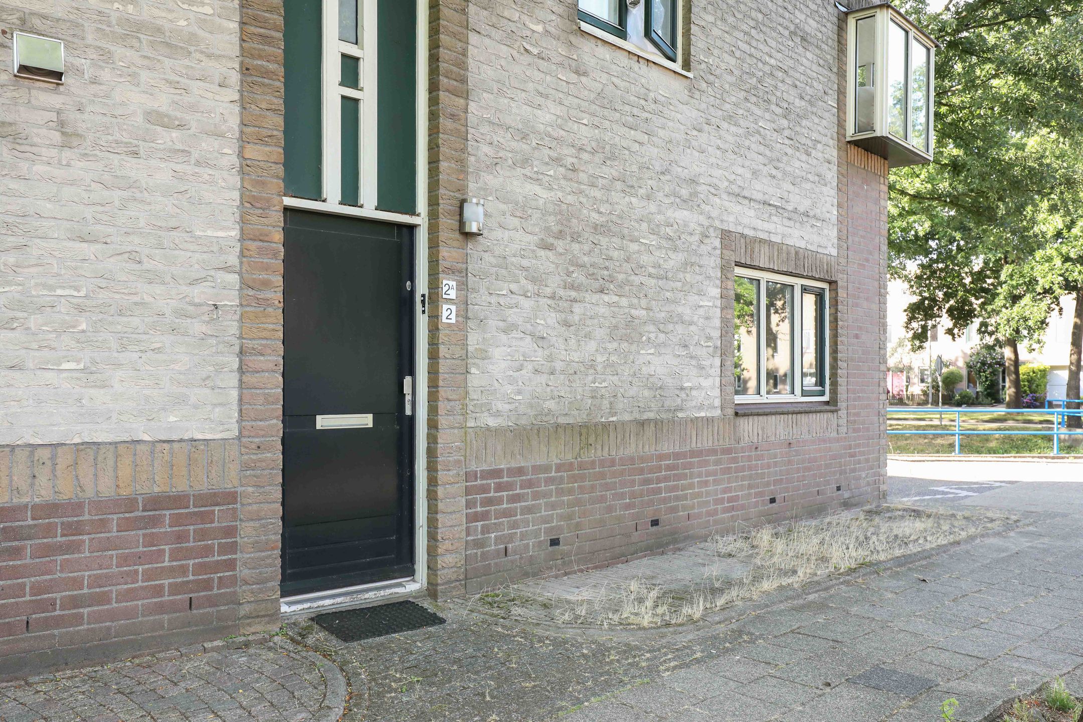 Foto 6 van Atlasvlinder 2