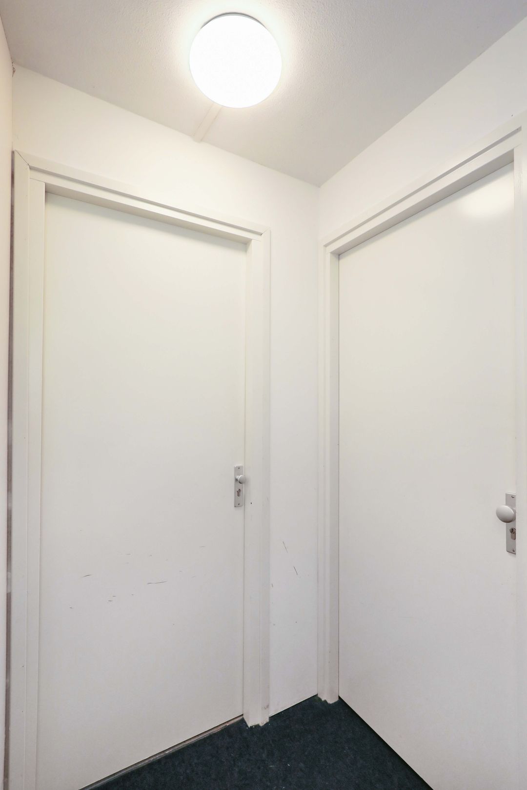 Foto 7 van Atlasvlinder 2