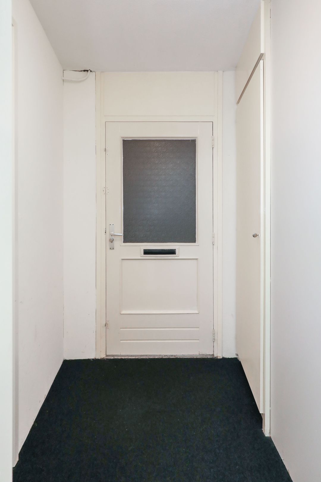 Foto 8 van Atlasvlinder 2