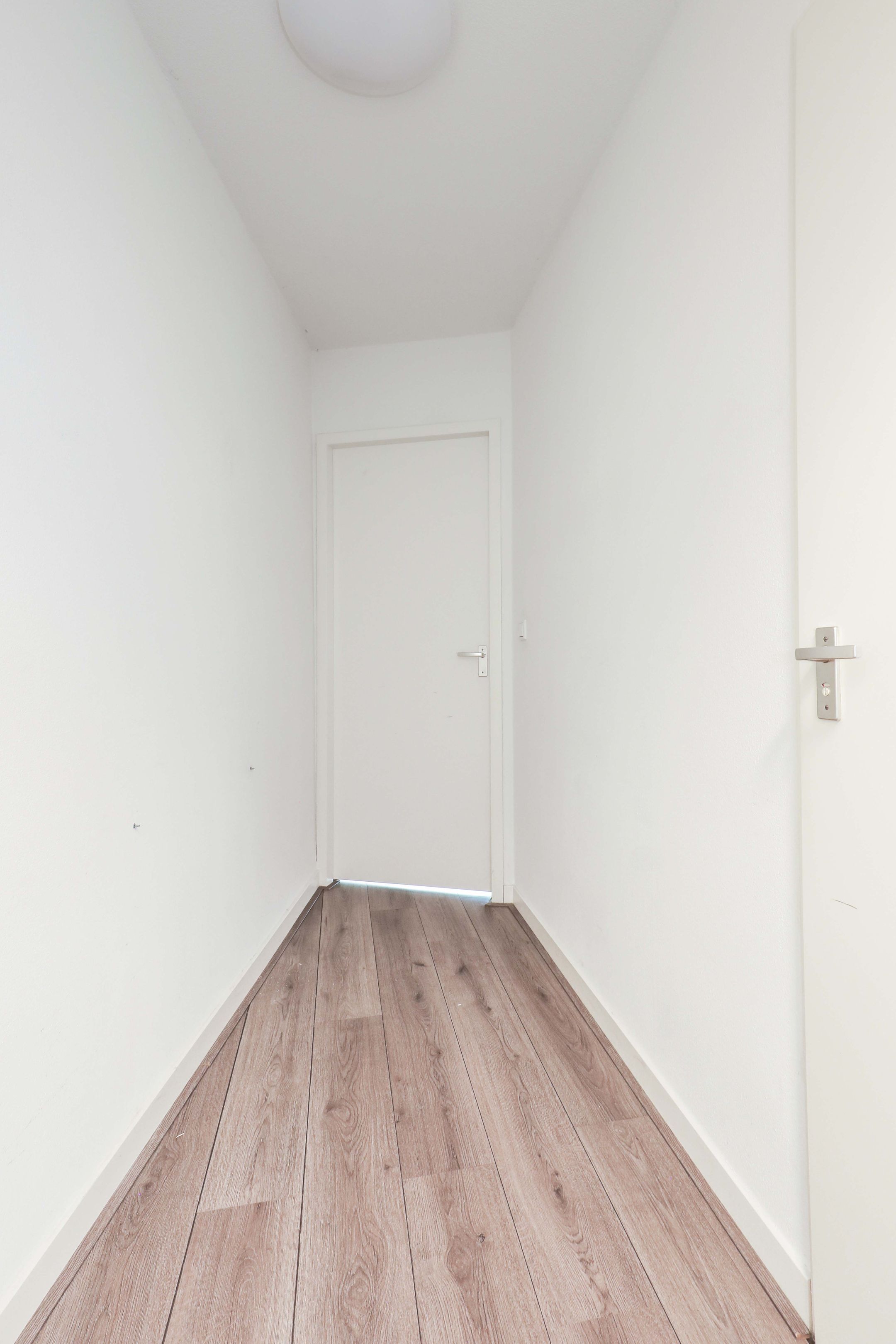 Foto 9 van Atlasvlinder 2