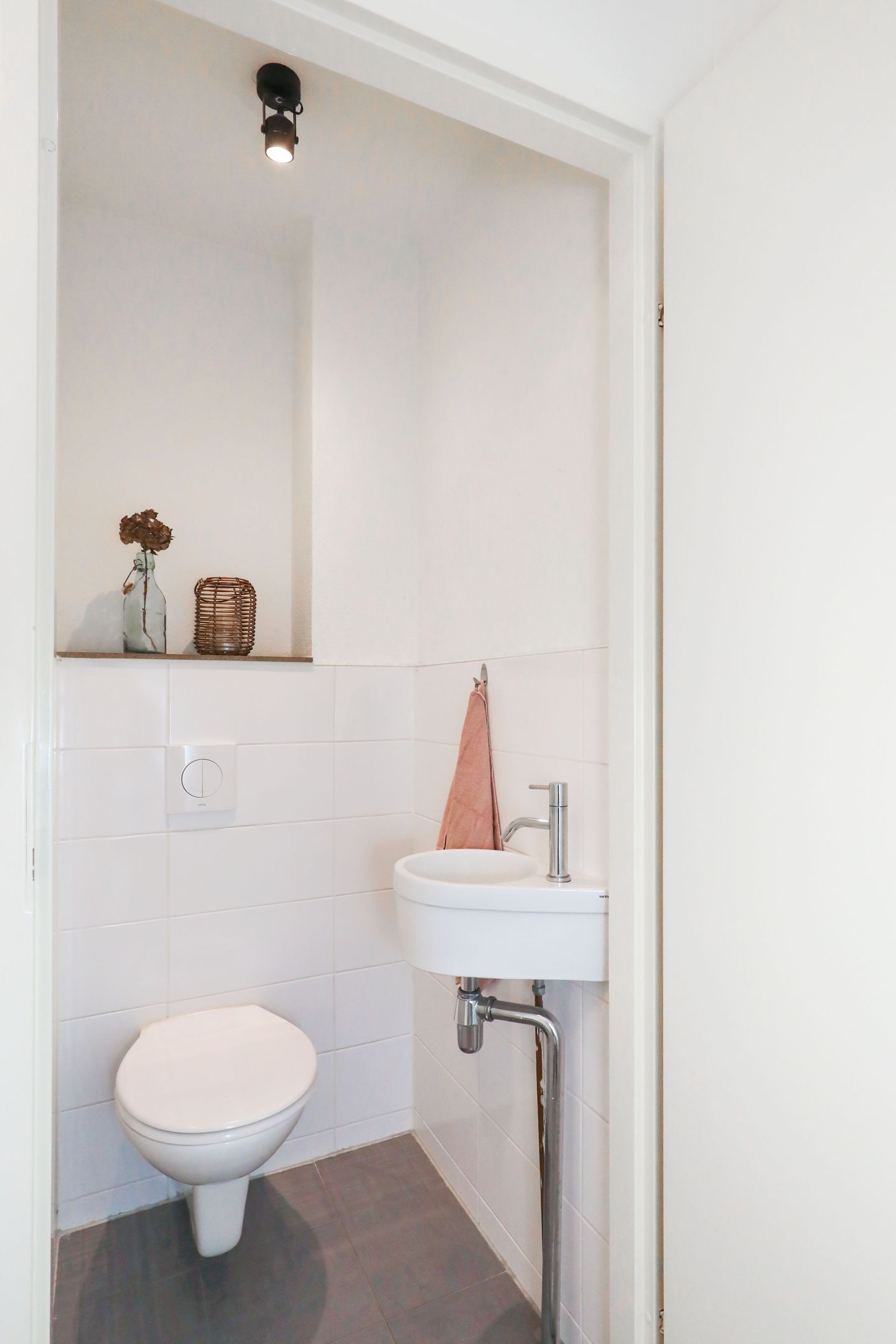 Foto 10 van Atlasvlinder 2