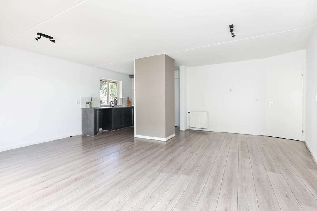 Foto 11 van Atlasvlinder 2