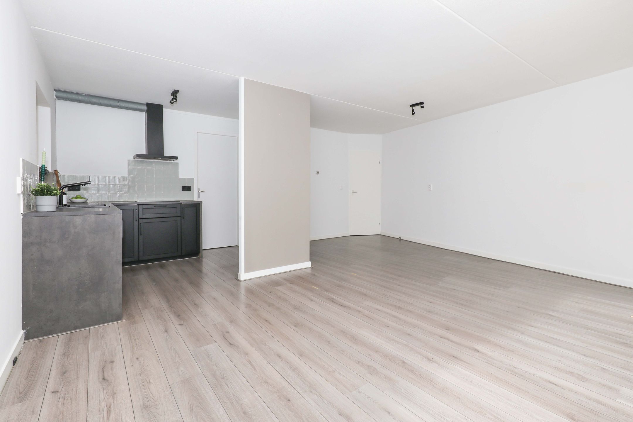 Foto 12 van Atlasvlinder 2