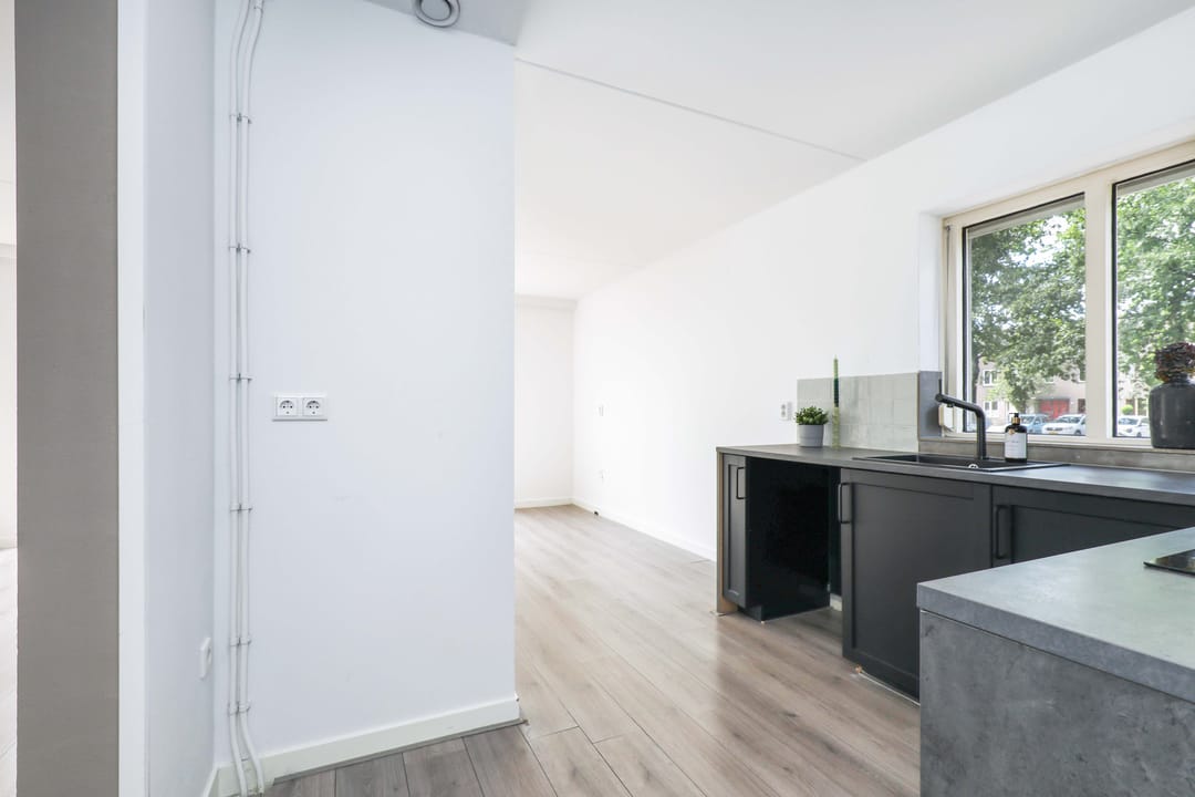 Foto 13 van Atlasvlinder 2