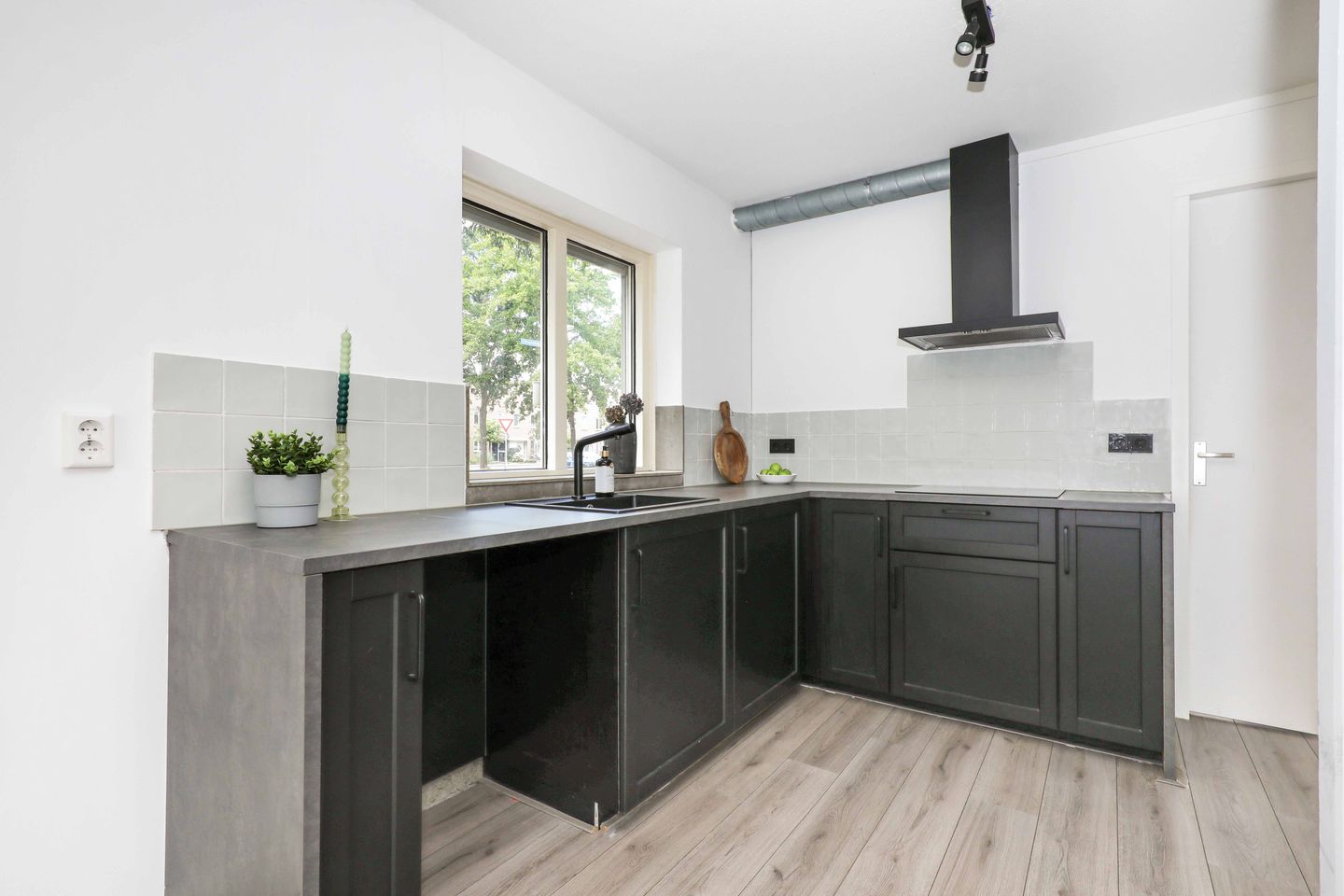 Foto 14 van Atlasvlinder 2