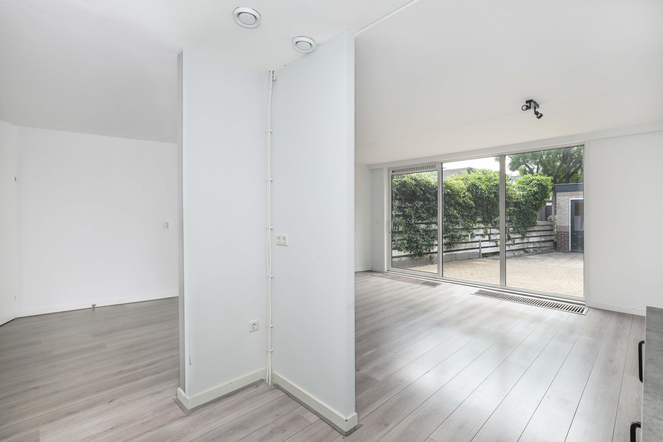 Foto 15 van Atlasvlinder 2