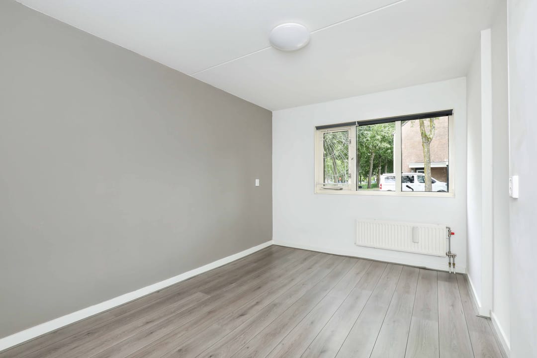 Foto 16 van Atlasvlinder 2