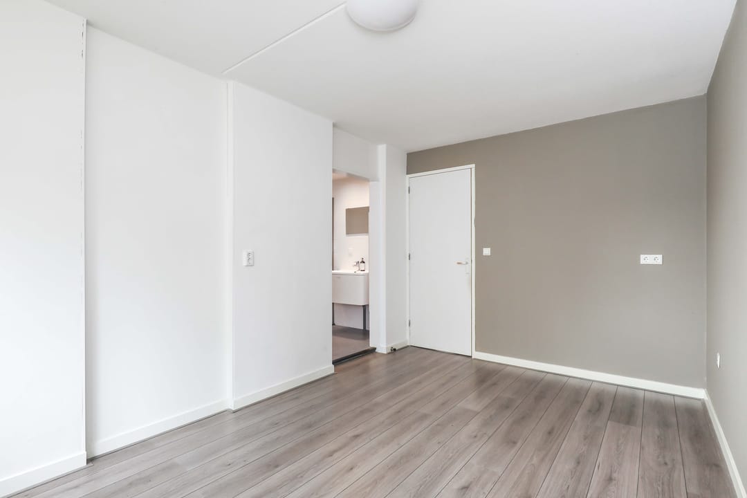 Foto 17 van Atlasvlinder 2