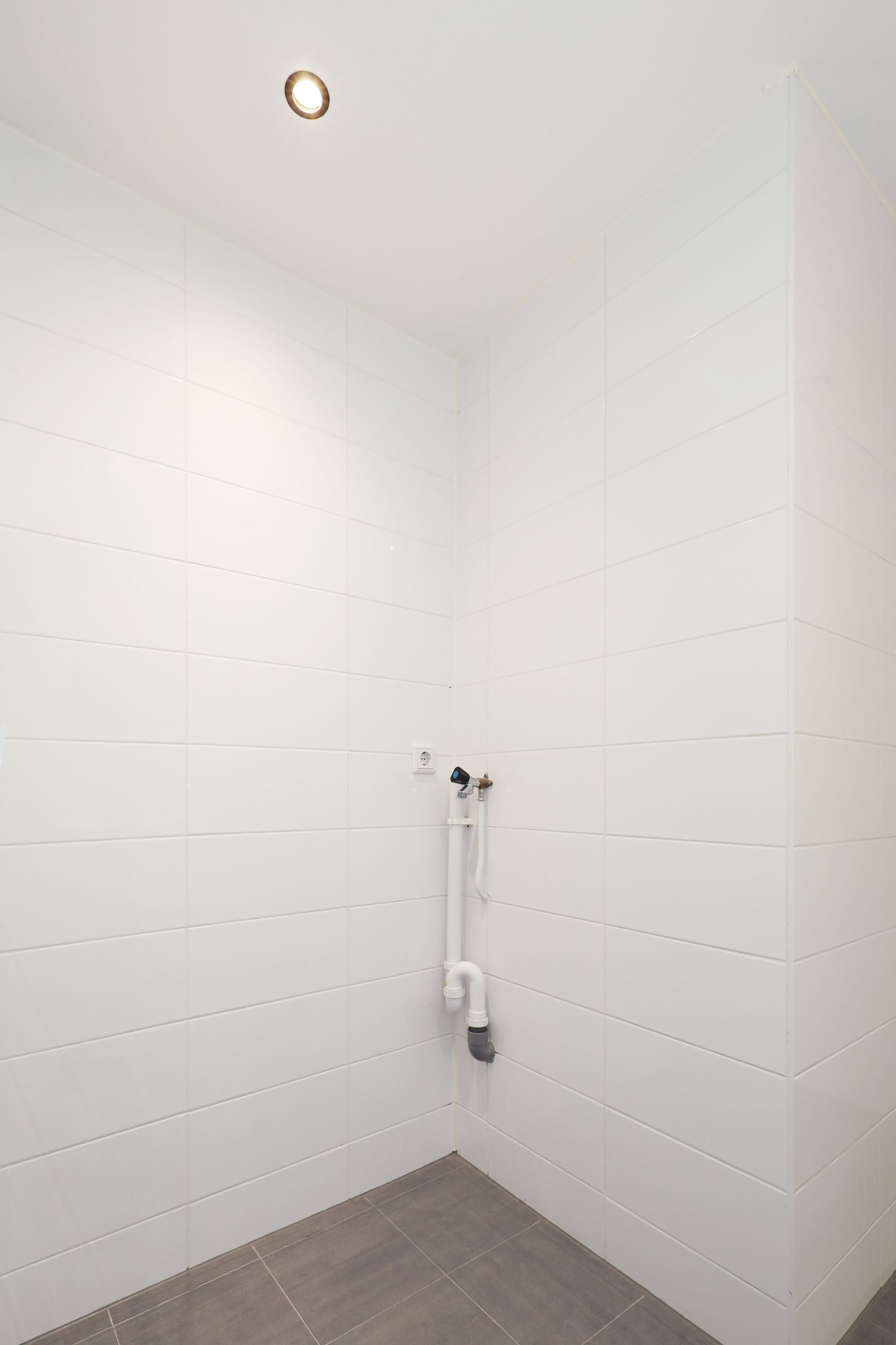 Foto 19 van Atlasvlinder 2