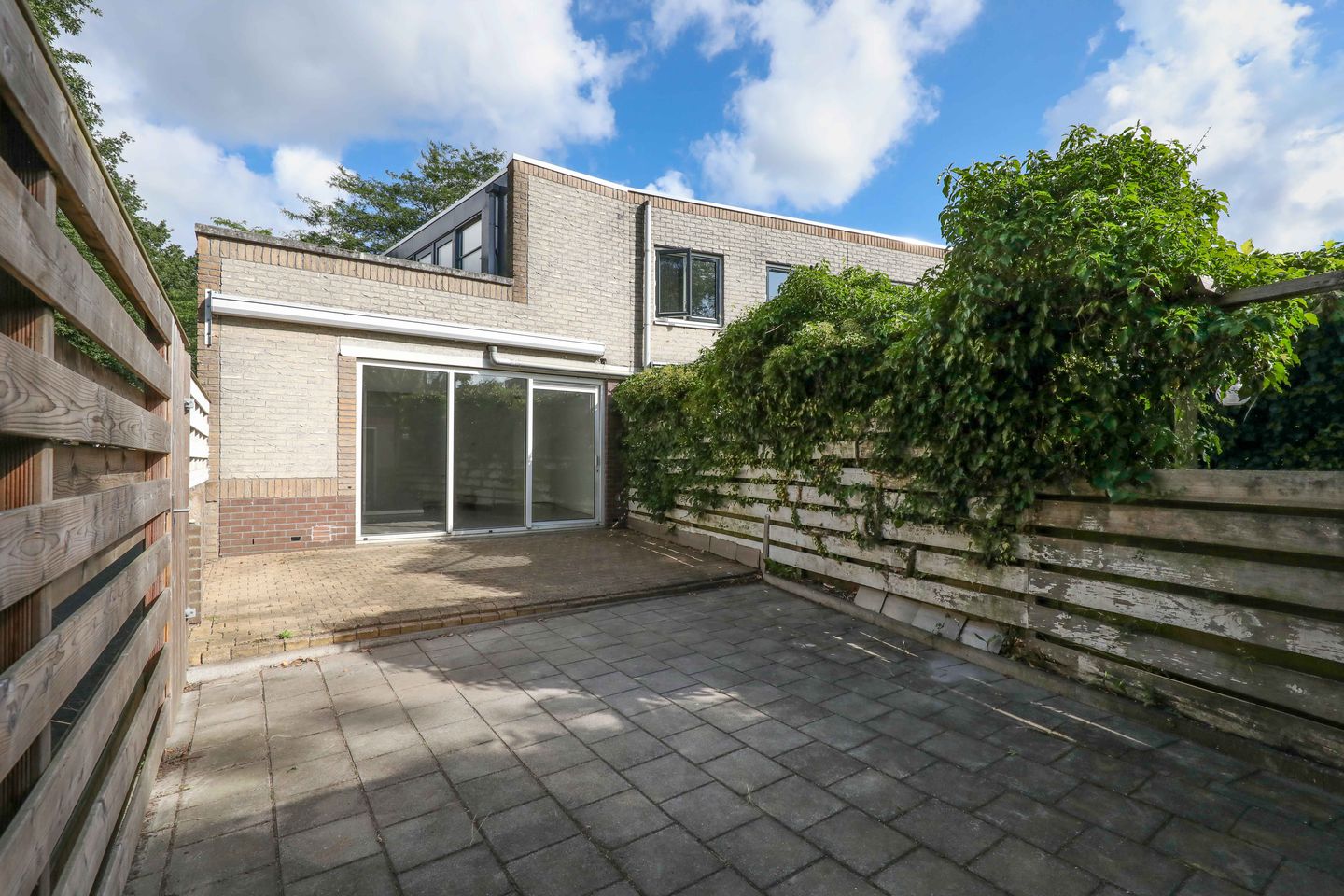 Foto 20 van Atlasvlinder 2