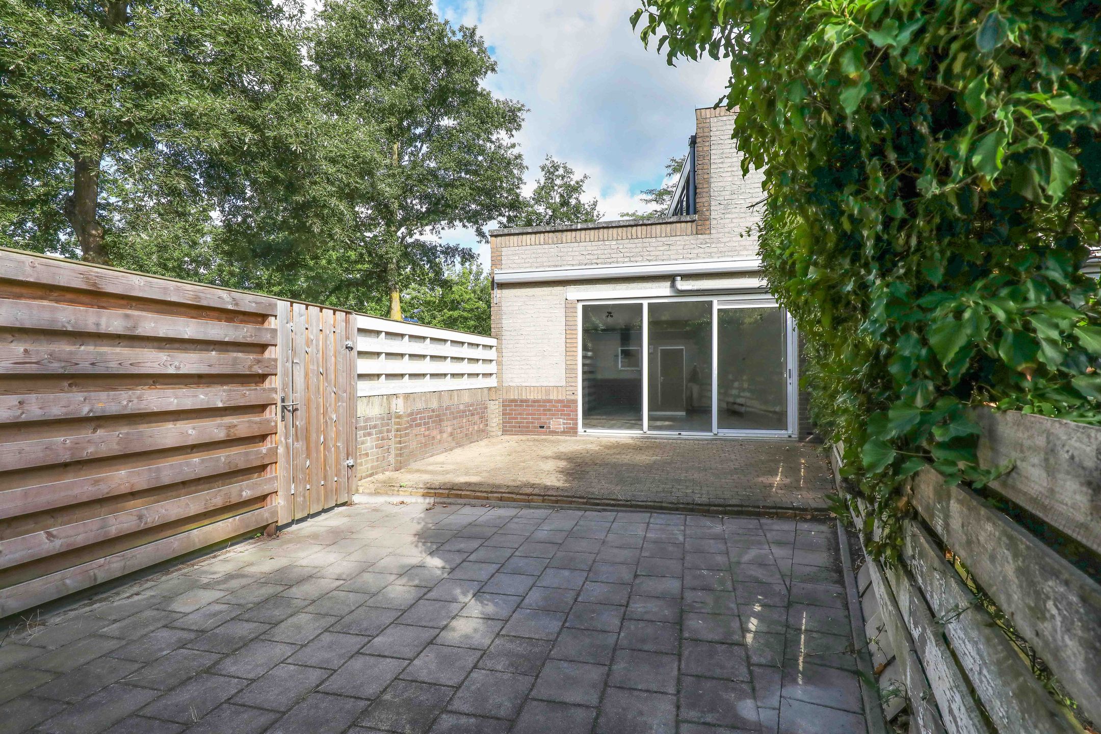 Foto 21 van Atlasvlinder 2