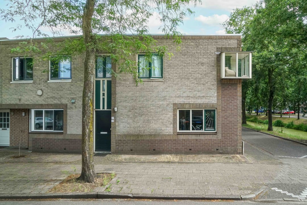 Foto 22 van Atlasvlinder 2