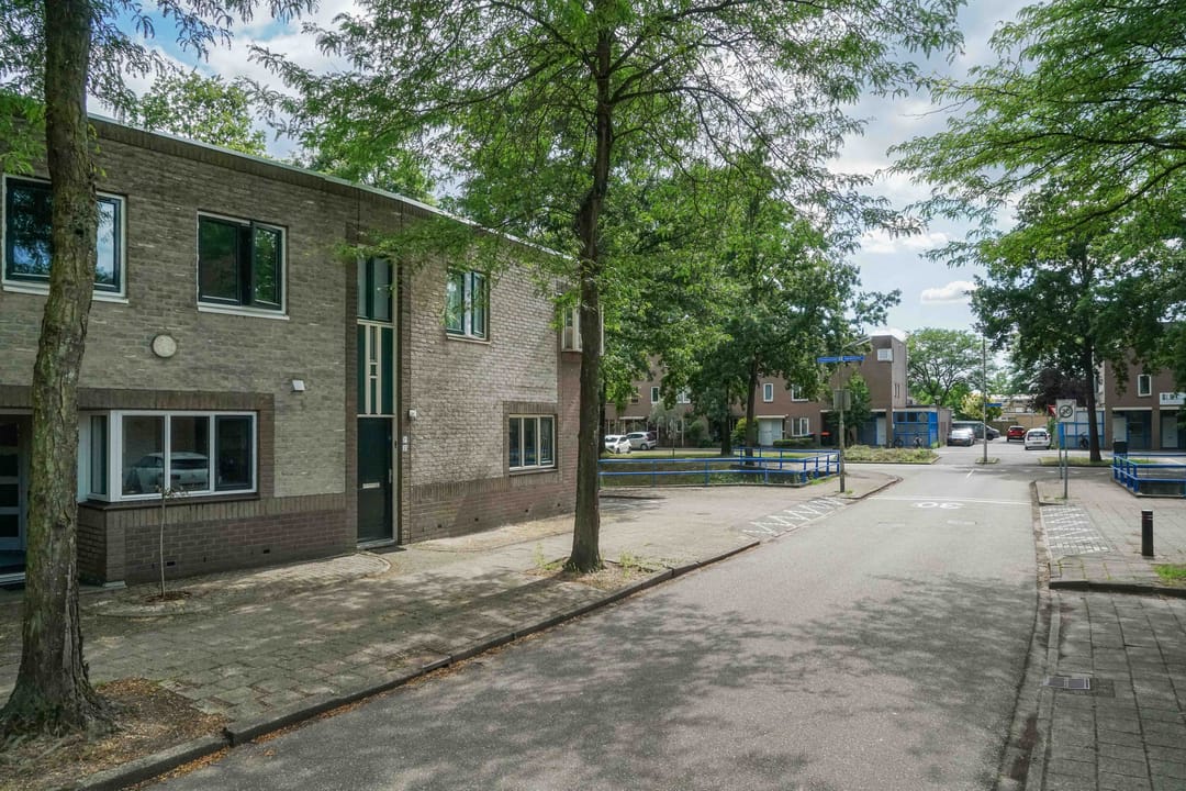 Foto 23 van Atlasvlinder 2