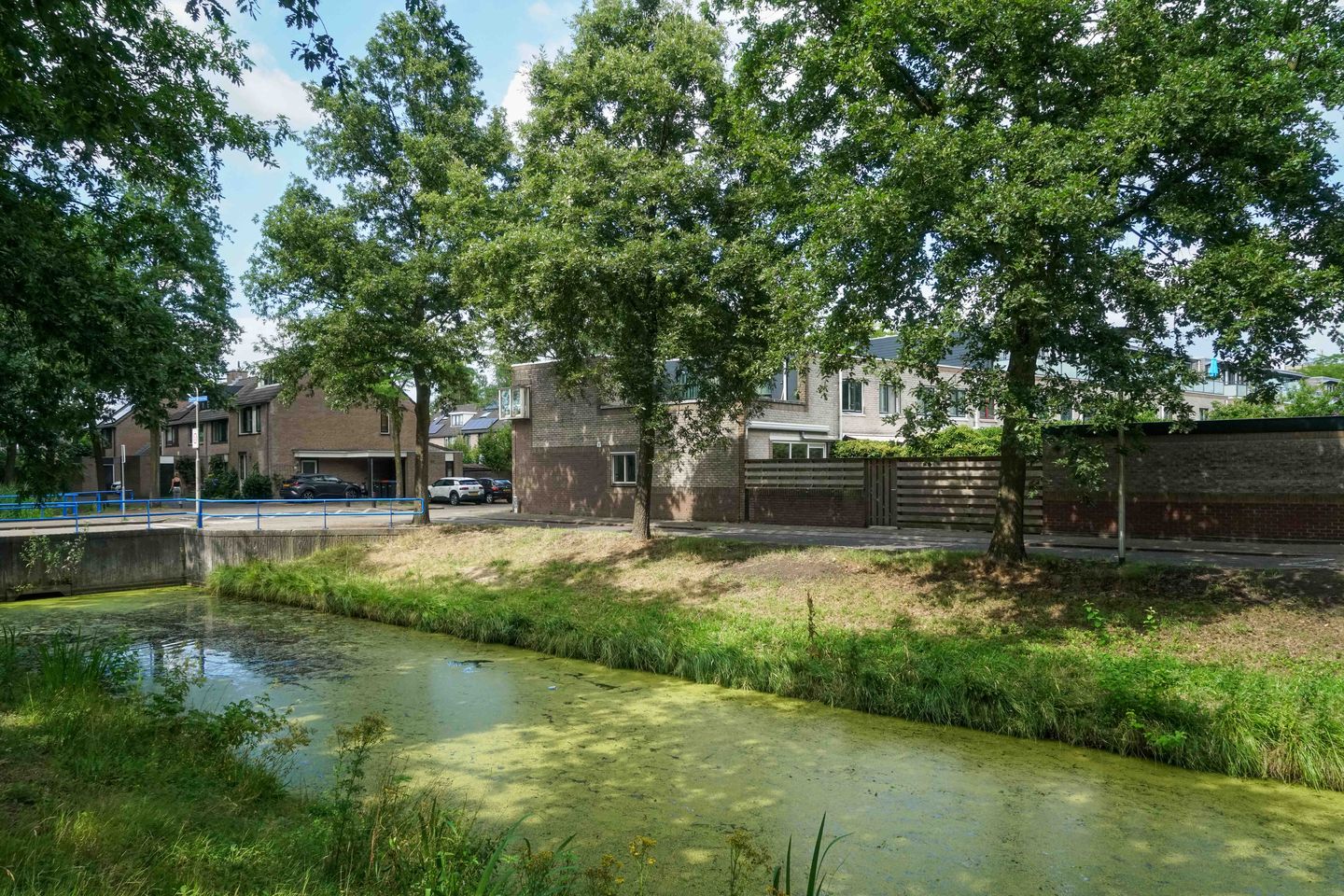 Foto 25 van Atlasvlinder 2