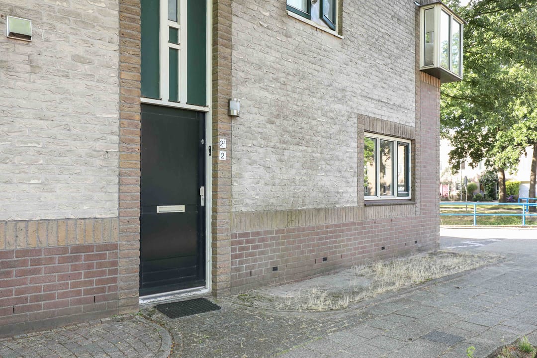 Foto 26 van Atlasvlinder 2