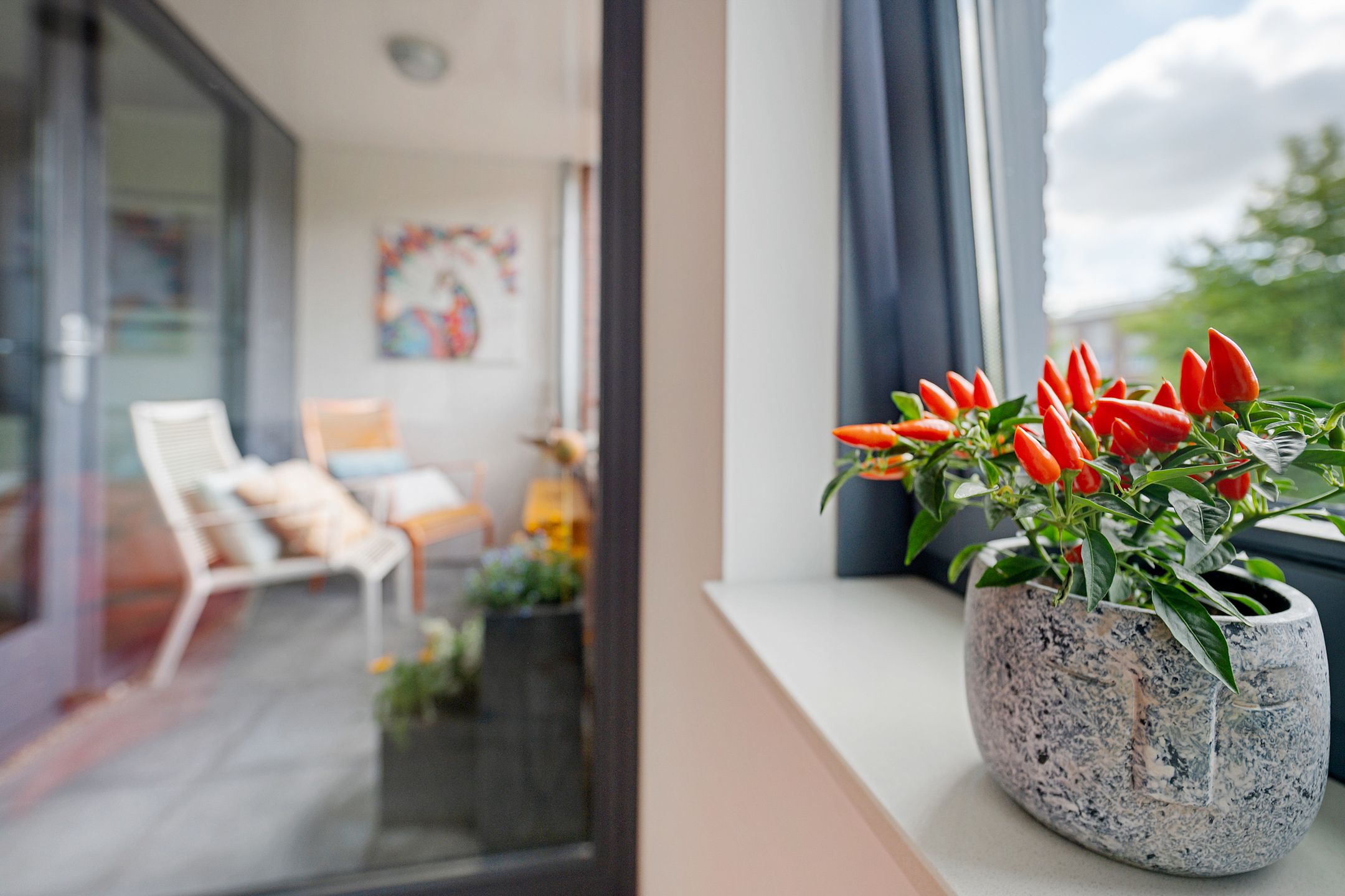 Photo 21 of Baak van Katwijk 118