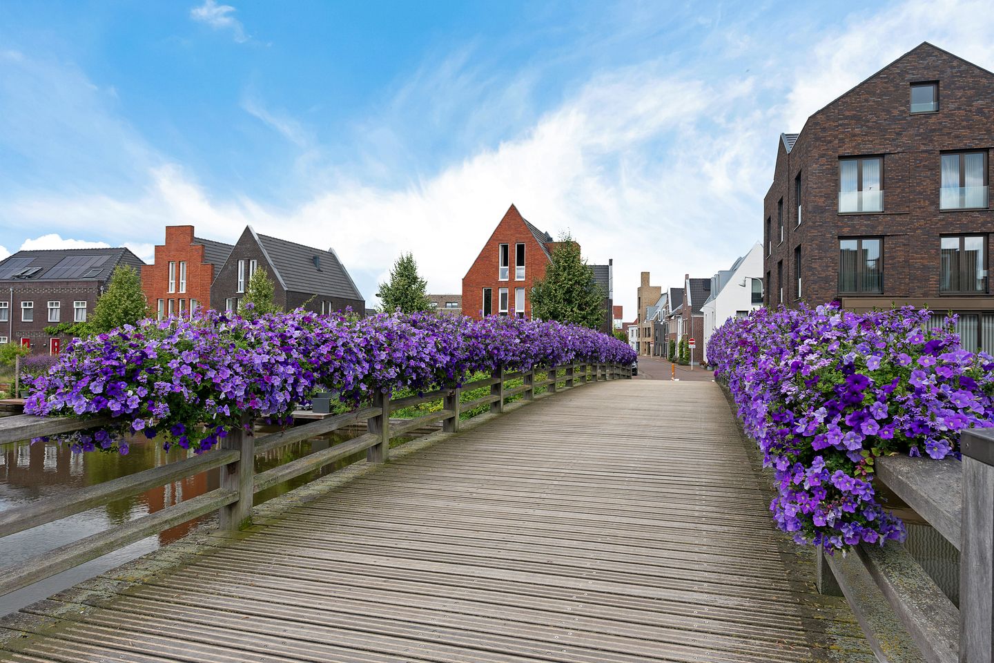 Photo 29 of Baak van Katwijk 118