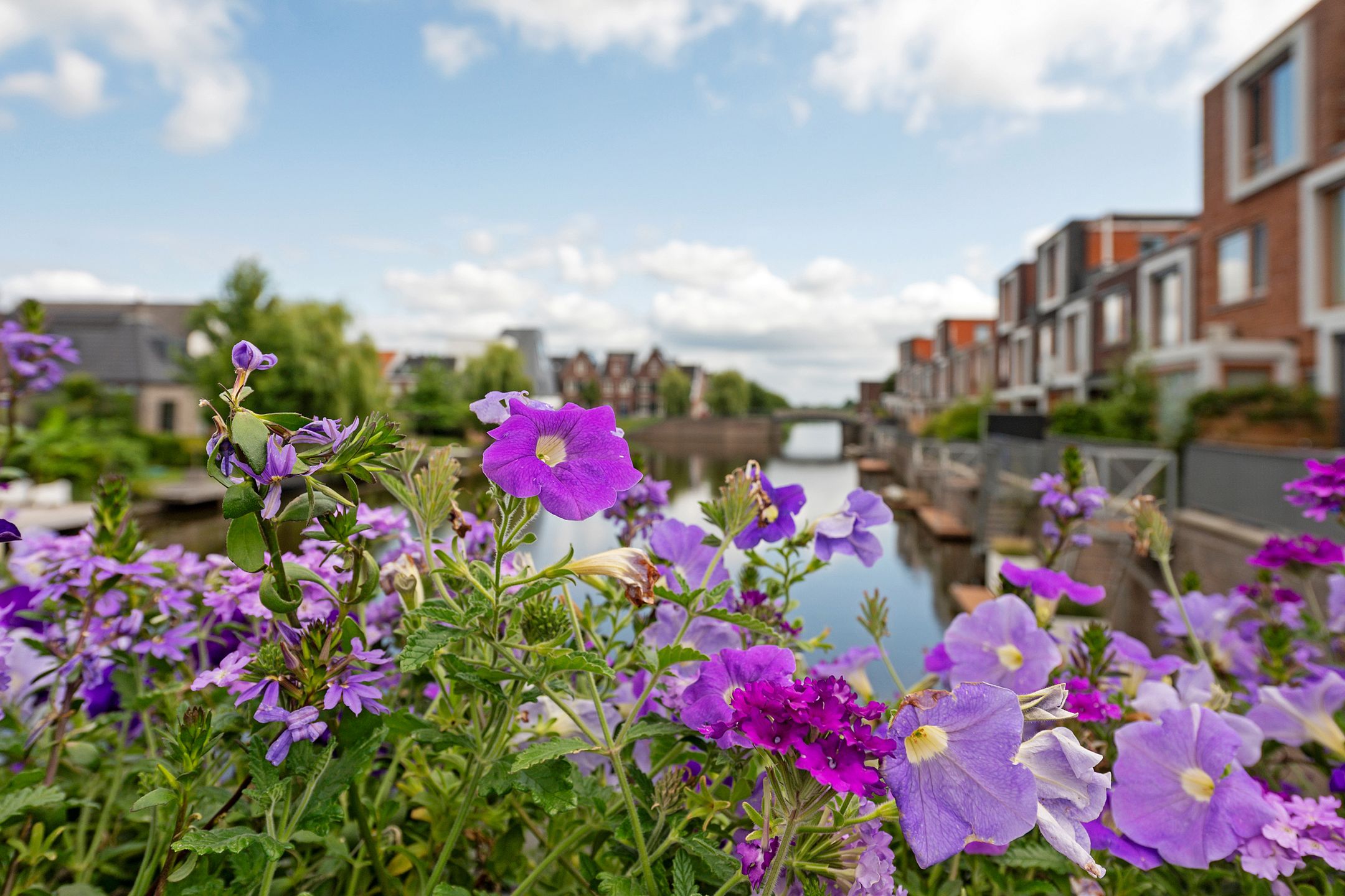 Photo 30 of Baak van Katwijk 118