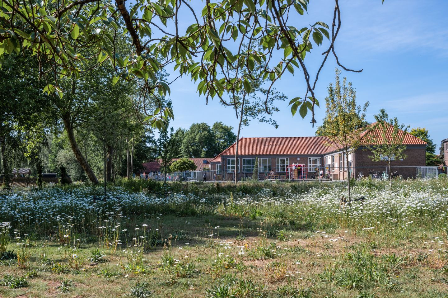 Foto 29 van Dr.Wierstraat 32