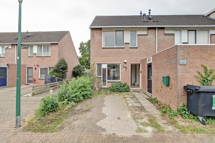 Foto 2 van Zebraspoor 548