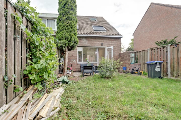 Foto 20 van Zebraspoor 548