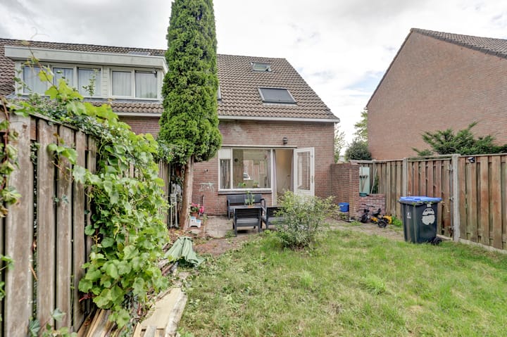 Foto 21 van Zebraspoor 548