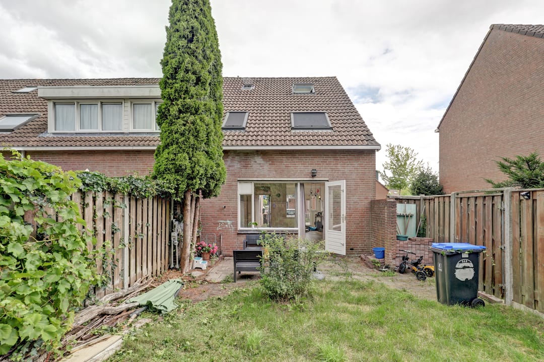 Foto 22 van Zebraspoor 548