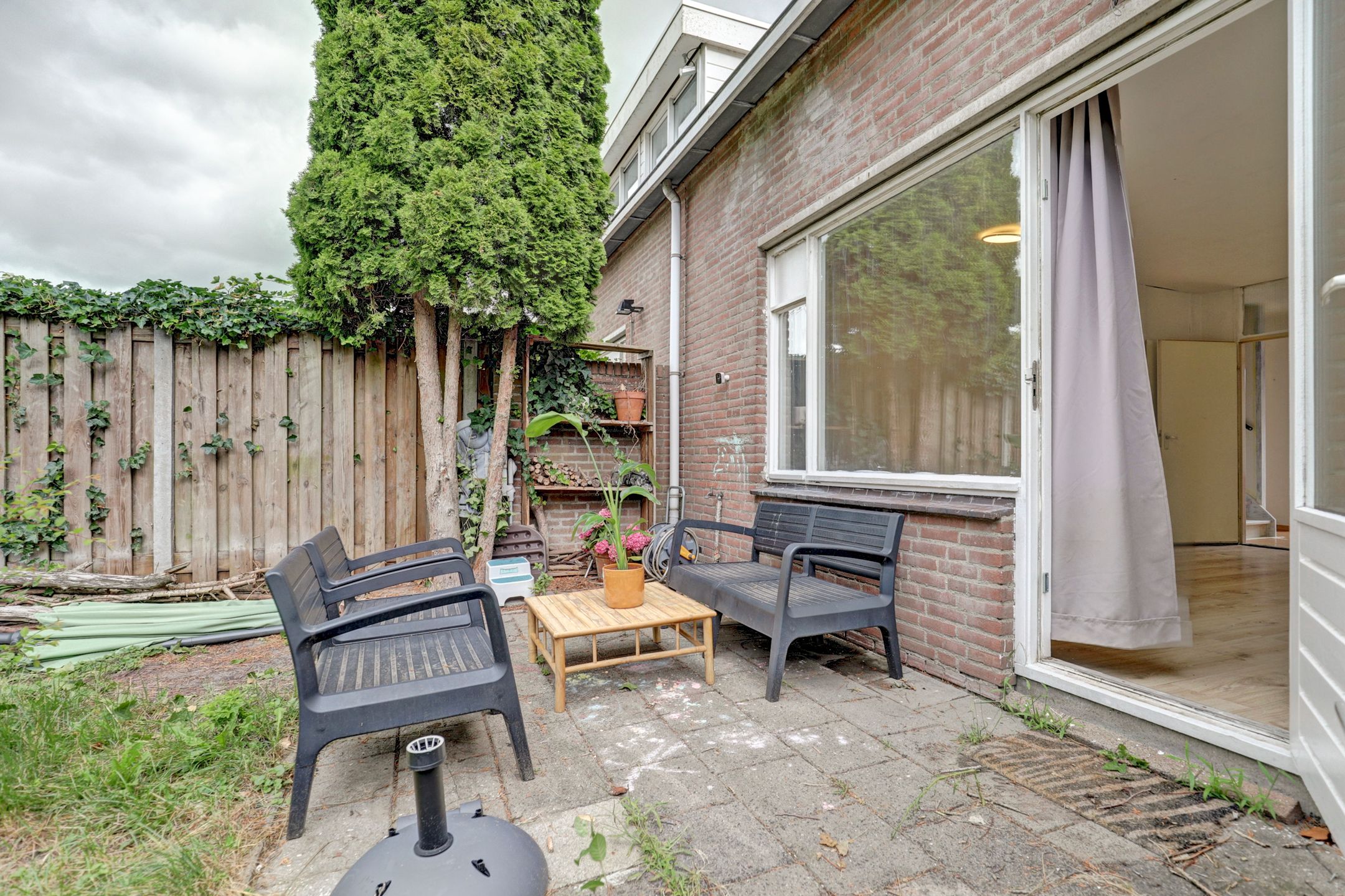 Foto 24 van Zebraspoor 548