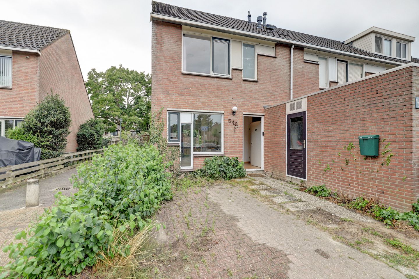 Foto 25 van Zebraspoor 548