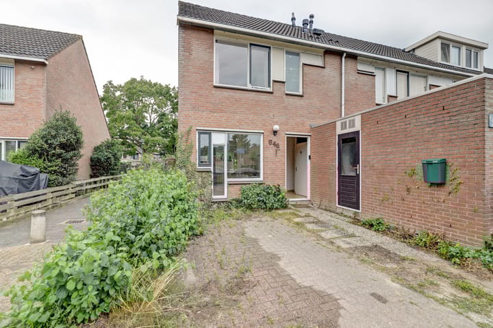 Foto 25 van Zebraspoor 548