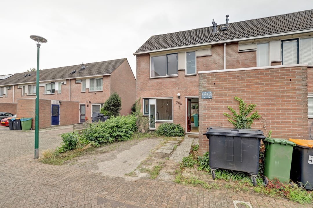 Foto 26 van Zebraspoor 548